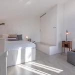 Duplex Terrace X4 * Ferrara